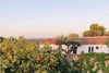 Alentejo Portugal
