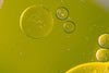 Polyphenols in extra virgin olive oil. Everything you need to know.