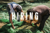 Hiring: Operations and supply chain executive.