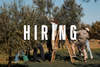 Hiring: Head of Marketing