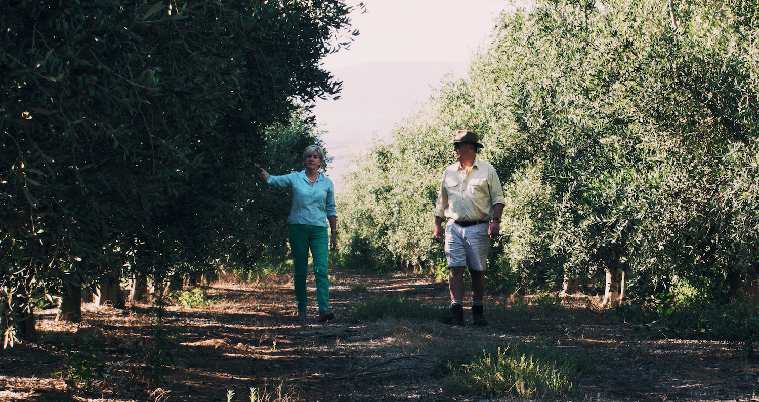 Olive Oil from South Africa's Cape