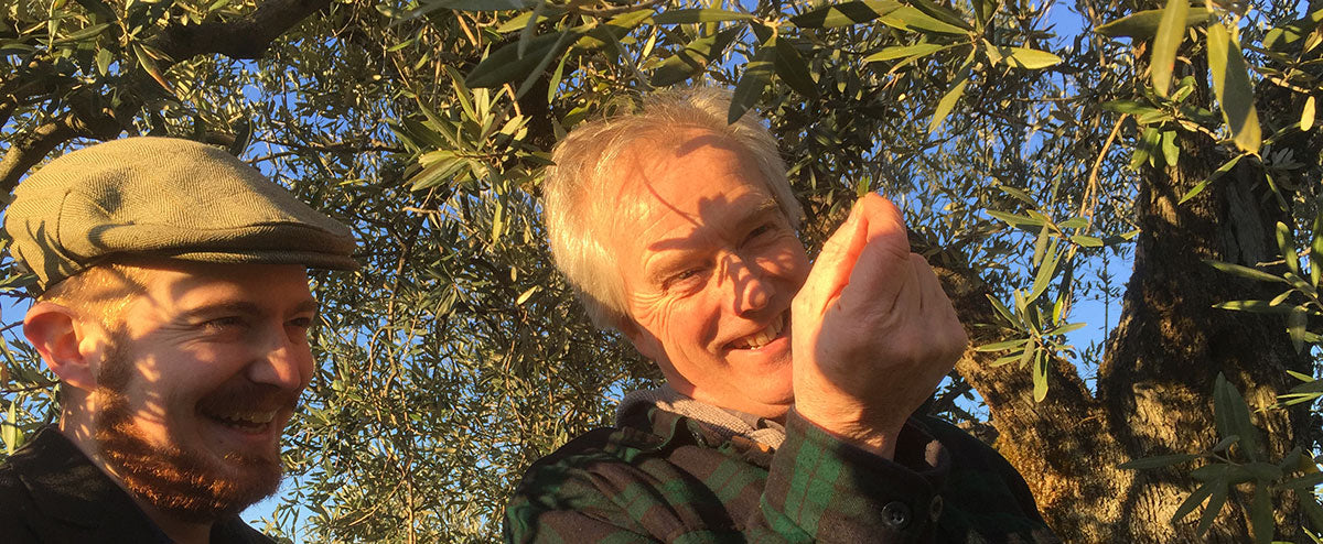 Johnny Madge olive oil tours in Italy