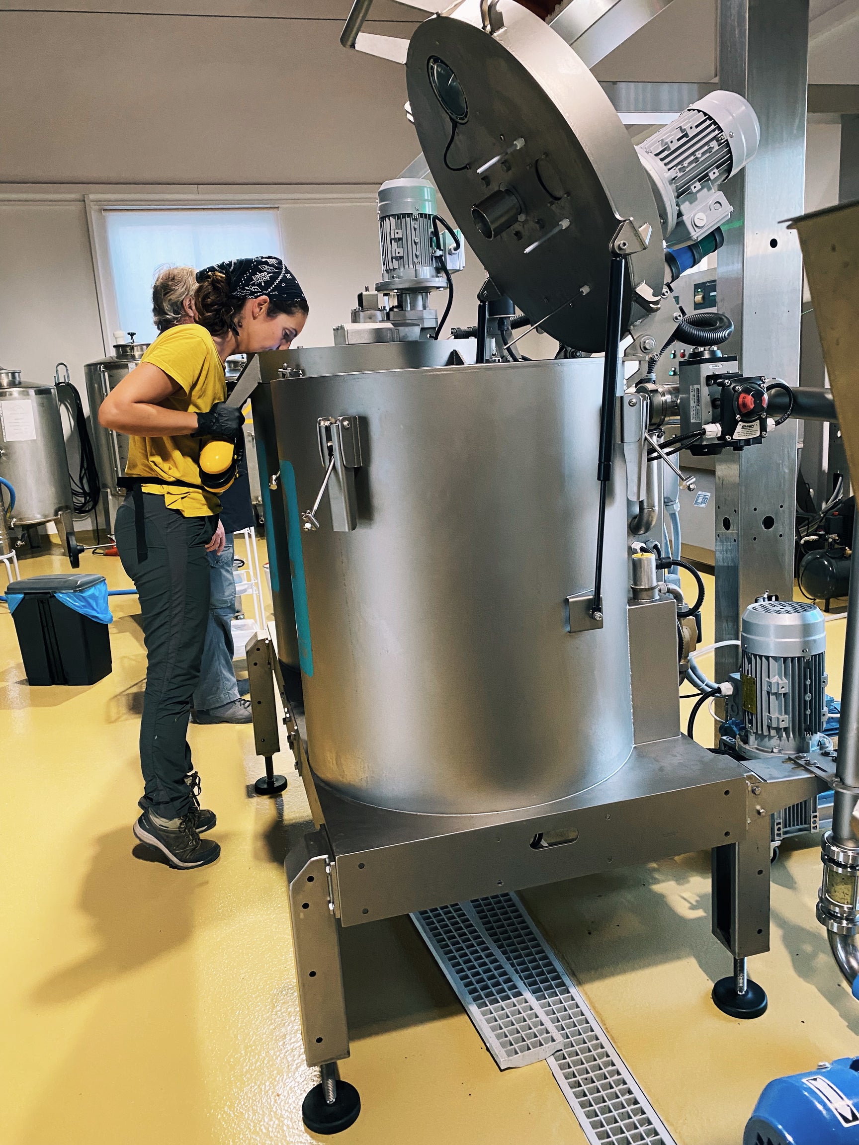 Portuguese Extra Virgin Olive Oil - Citizens of Soil