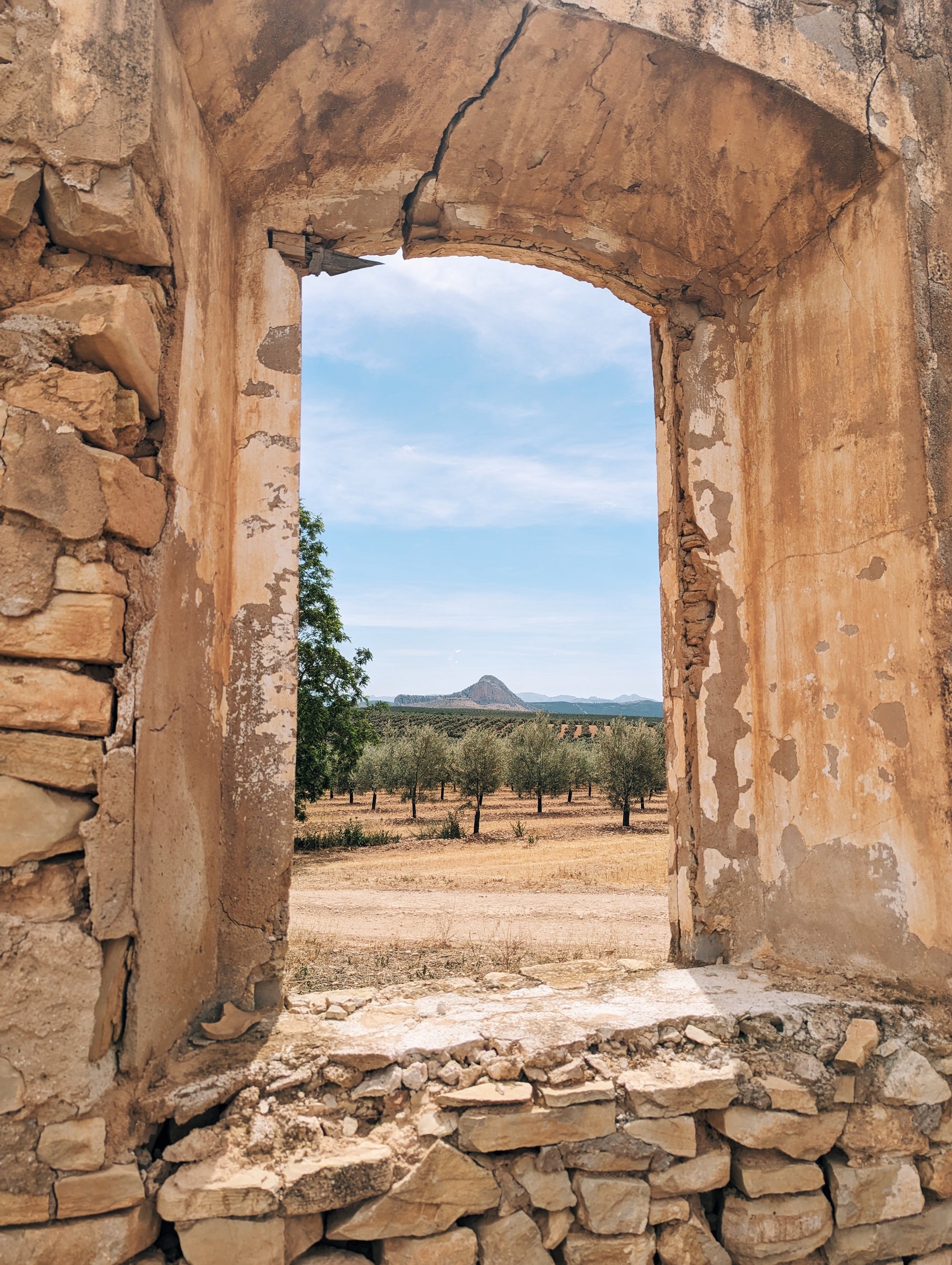 Early Access: Spanish EVOO with Free Shipping! - Citizens of Soil