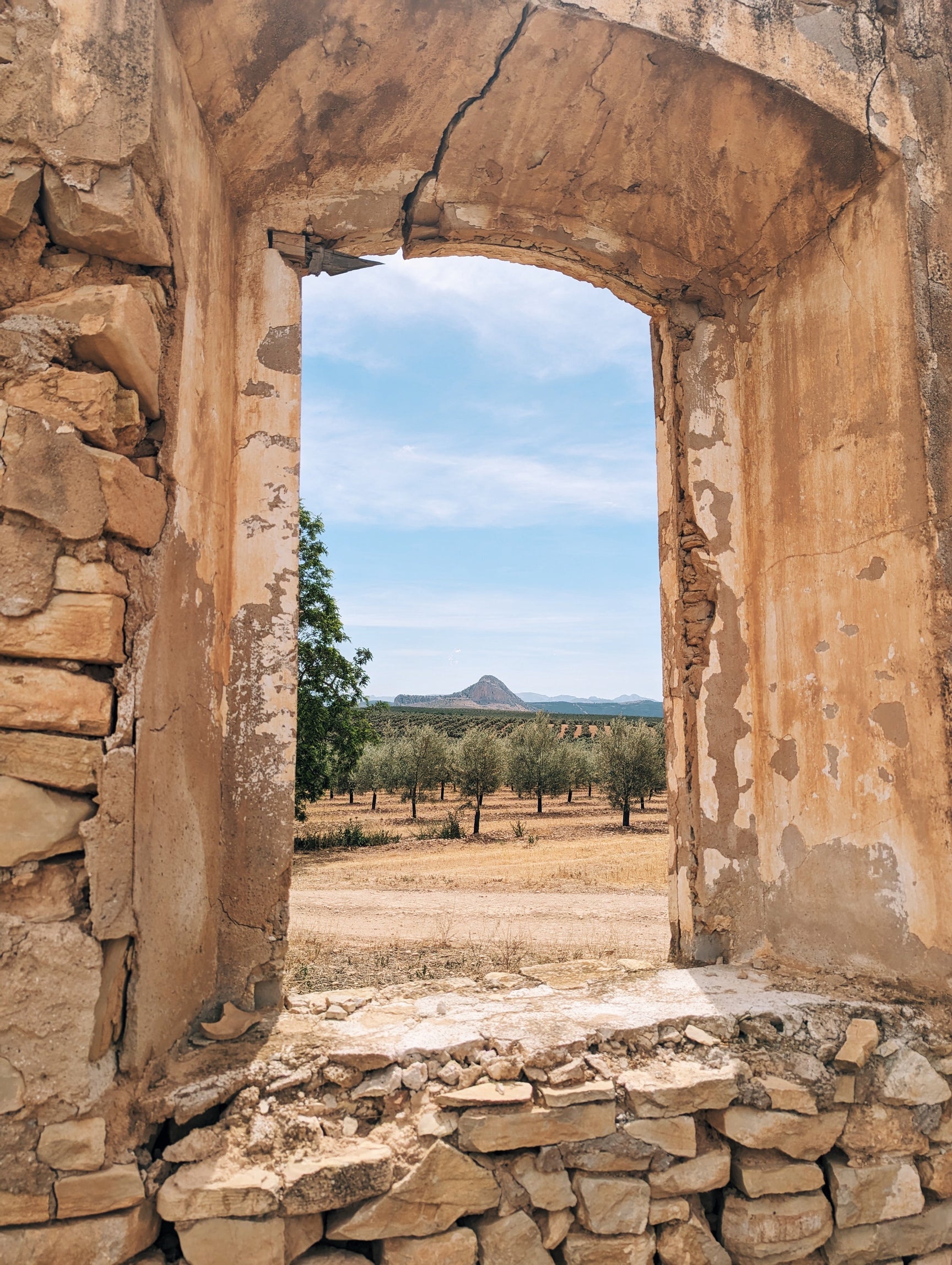 Spanish Extra Virgin Olive Oil - Citizens of Soil