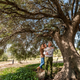 Spanish Extra Virgin Olive Oil - Citizens of Soil