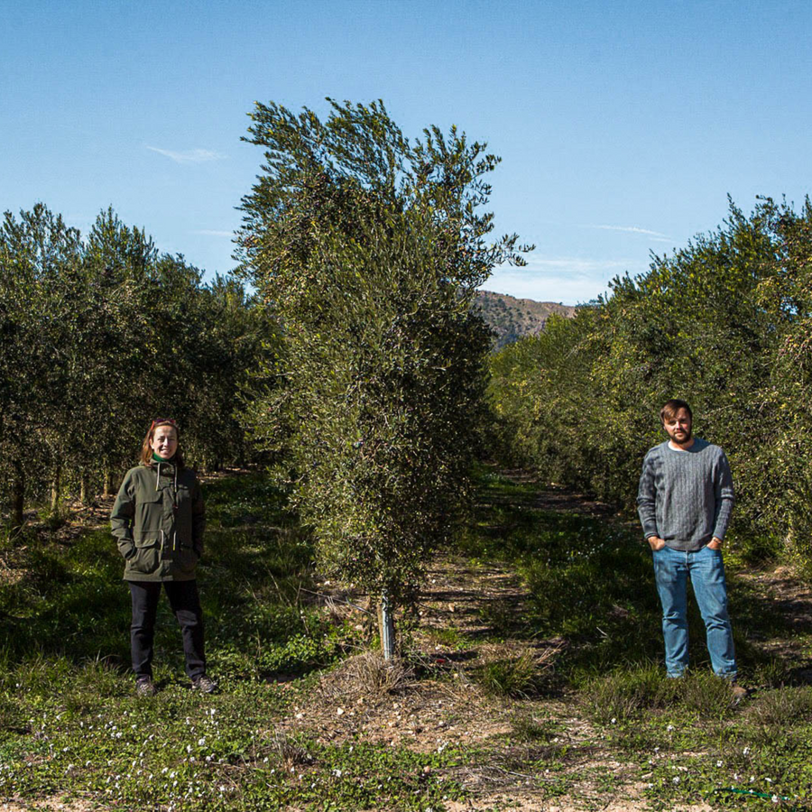 Spanish Extra Virgin Olive Oil
