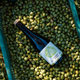 A dark glass bottle with a white label reading Citizens of Soil lies on top of a crate filled with green olives outdoors.