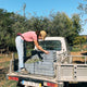 Portuguese Extra Virgin Olive Oil - Citizens of Soil