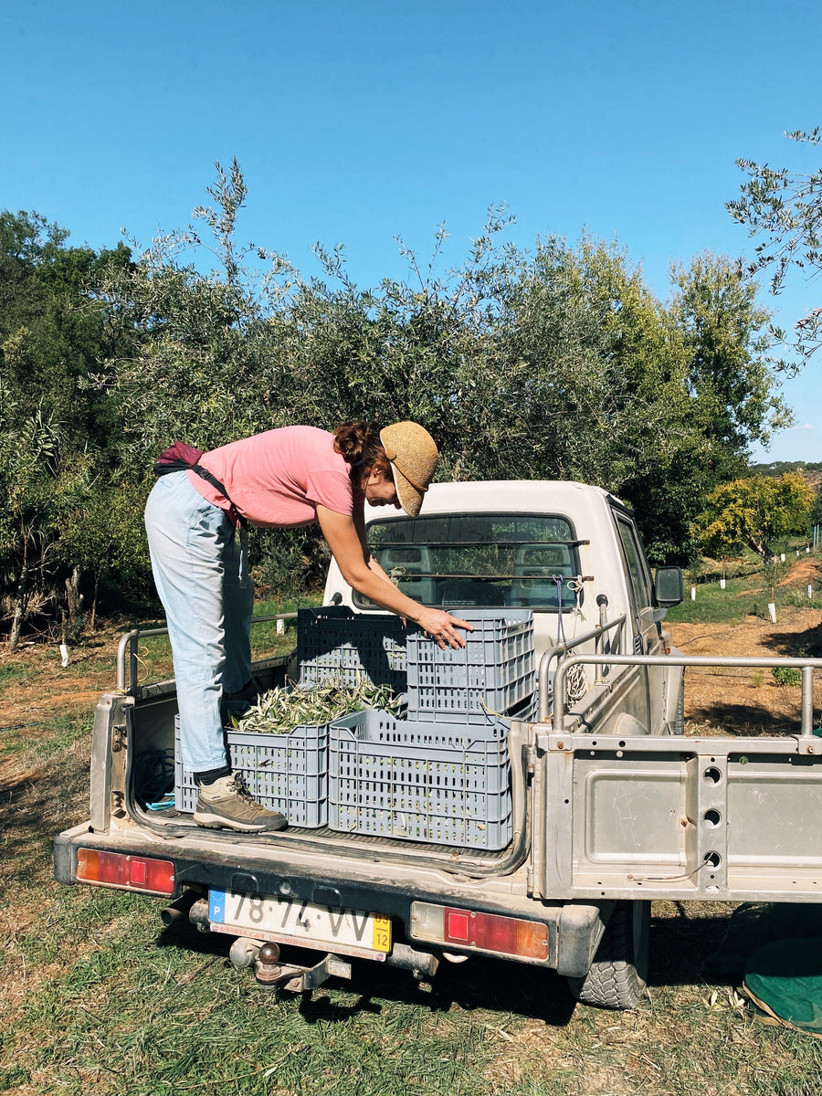 Portuguese Extra Virgin Olive Oil - Citizens of Soil