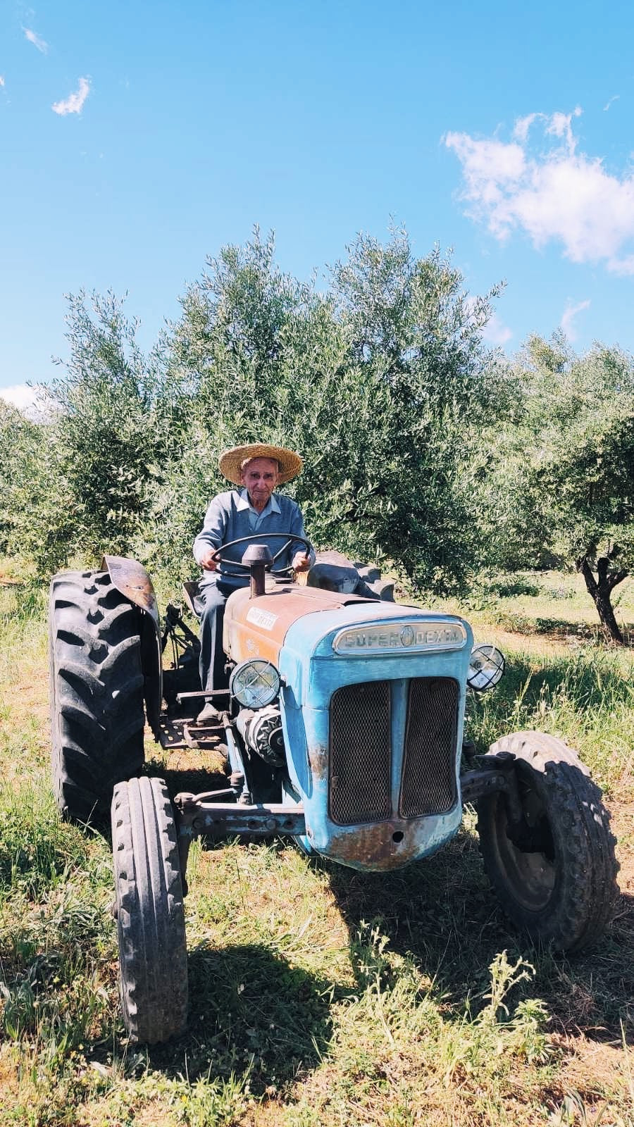 Greek Extra Virgin Olive Oil Starter Pack - Citizens of Soil