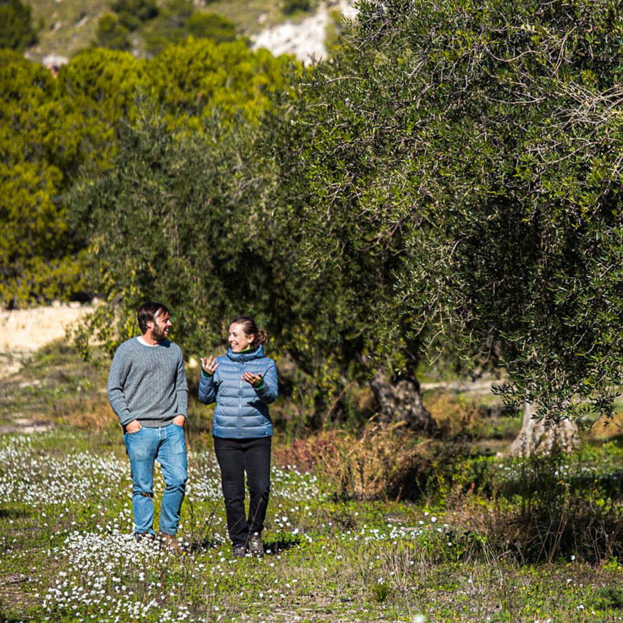 Spanish Extra Virgin Olive Oil