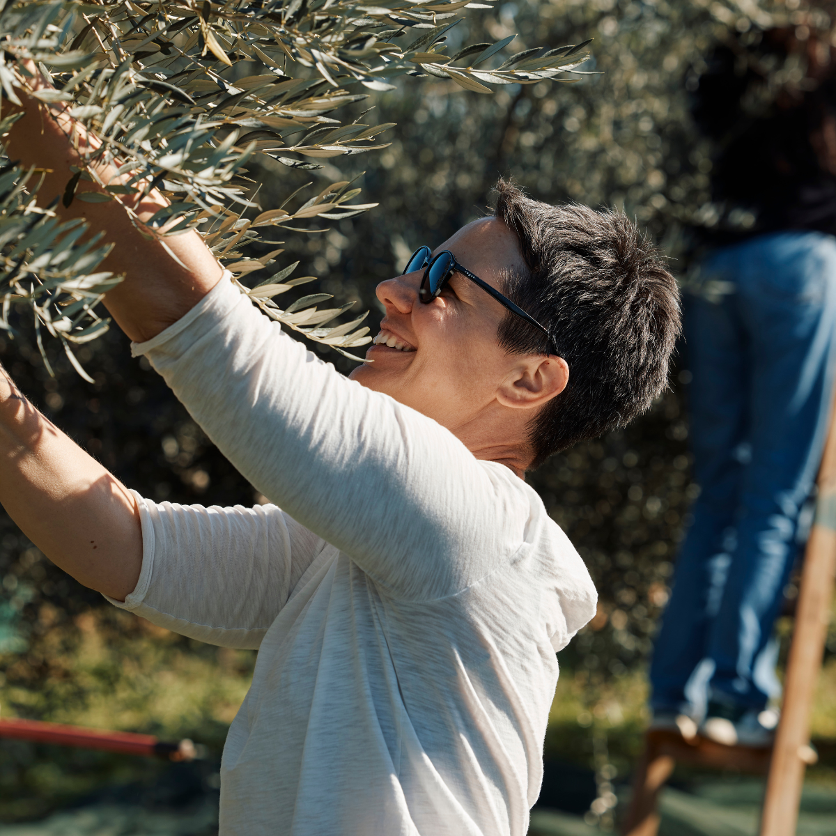 Croatian Olive Oil Extra Rare