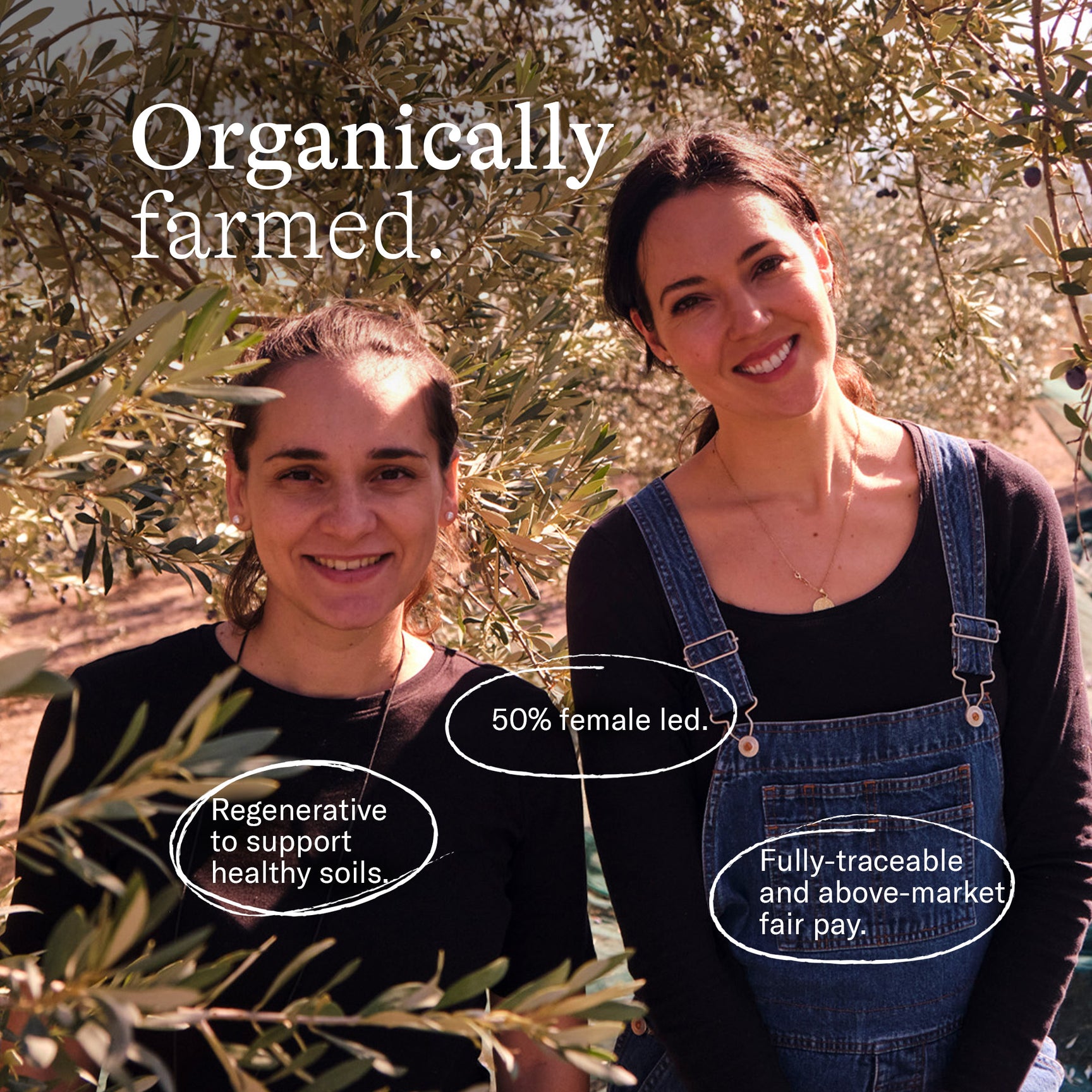 The Olive Oil Club - Citizens of Soil