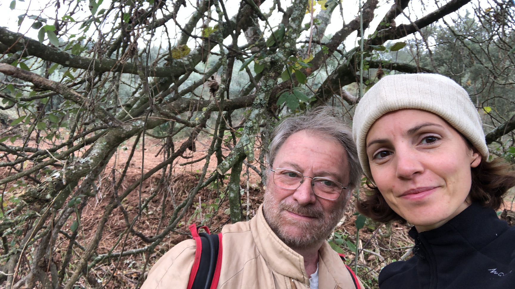 Portuguese Extra Virgin Olive Oil - Citizens of Soil