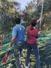 Crete Single Estate Extra Virgin Olive Oil - Citizens of Soil