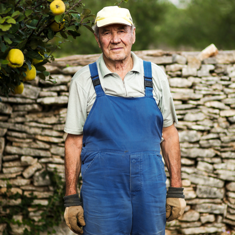 Croatian Extra Virgin Olive Oil - Citizens of Soil