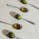 The Olive Oil Health Club